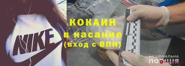 PSILOCYBIN Белокуриха