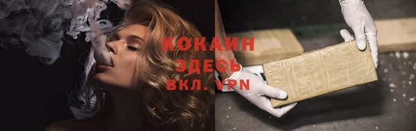 PSILOCYBIN Белокуриха