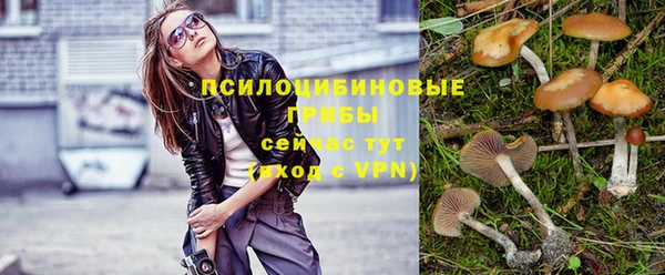 амф Белоозёрский