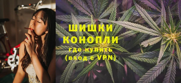 ГАЛЛЮЦИНОГЕННЫЕ ГРИБЫ Беломорск