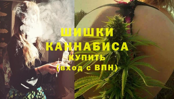 PSILOCYBIN Белокуриха