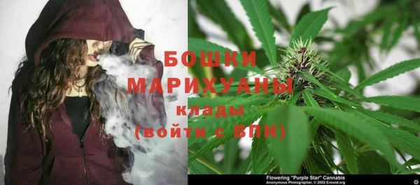 PSILOCYBIN Белокуриха