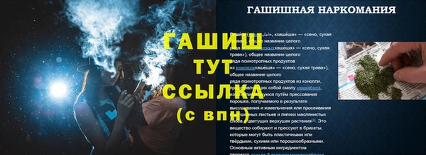 PSILOCYBIN Белокуриха