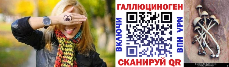 MEGA зеркало  Кизилюрт  Псилоцибиновые грибы GOLDEN TEACHER 